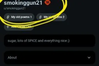 biracial plus sized beauty - Image 10